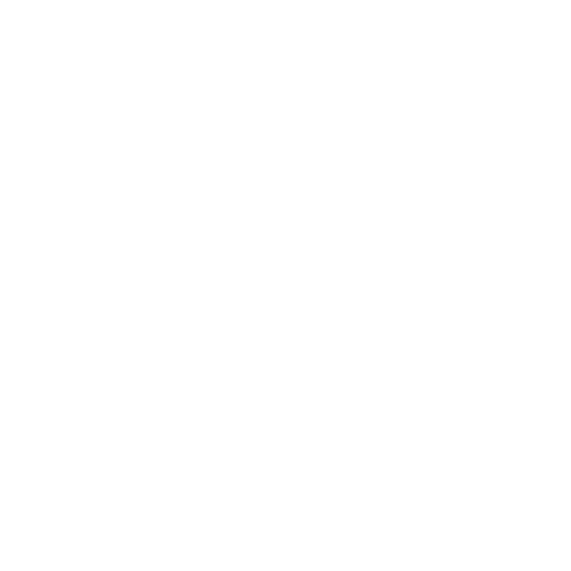 Flagship Center logo with wavy lines above the text, symbolising the flag and sea, also indicating excellence and leadership, presented in white.